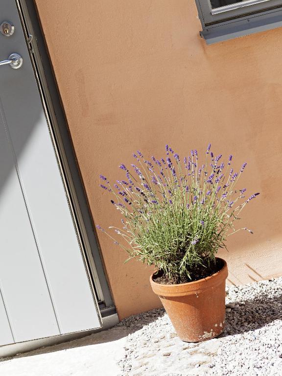 Visby Logi & Vandrarhem St: Hansgatan Kamer foto